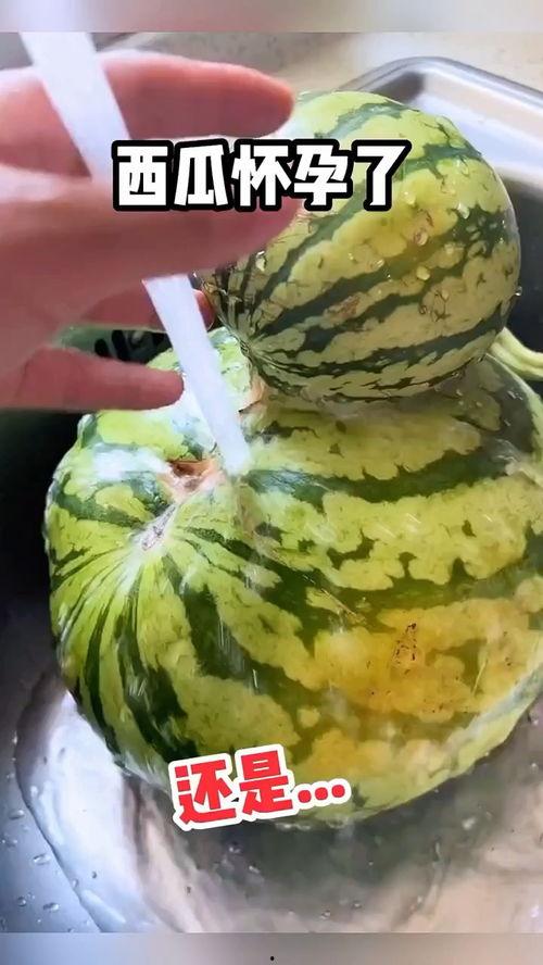 搞笑视频吃瓜配音片段,笑料百出！搞笑视频配音片段大盘点