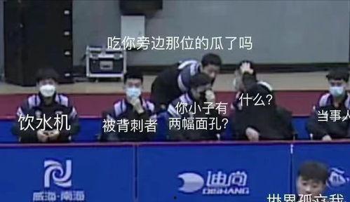 乒乓队员集体吃瓜视频,欢乐瞬间,展现团队风采