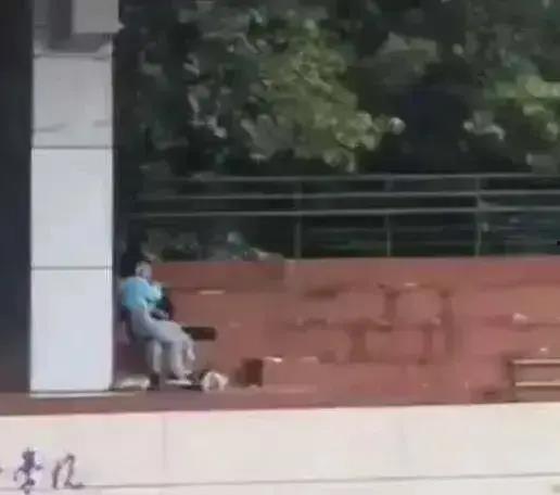 学校吃瓜实拍视频,揭秘校园生活趣味瞬间