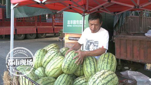宁波这几天吃瓜事件视频,一场网络热议的社区冲突纪实