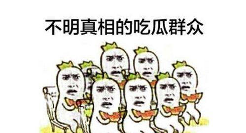吃瓜群众大骗局视频,揭开网络谣言的神秘面纱