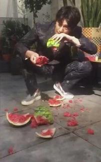 邢台魏县吃瓜事件视频最新,一场网络热议背后的真相揭秘