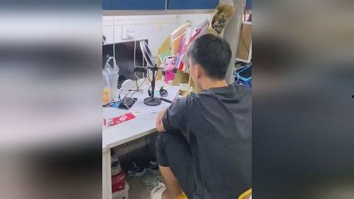 胖男人吃瓜的视频,欢乐无限，揭秘瓜界趣事