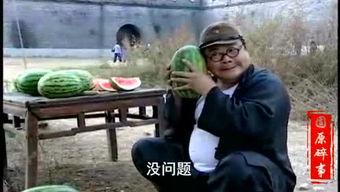 全真道士吃瓜视频,揭秘修行人间的趣味生活