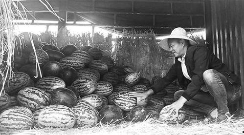 楚州吃瓜群众事件视频,街头冲突视频引发热议